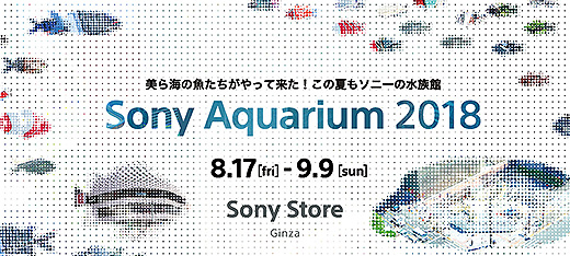 美ら海の魚たちがやって来る！ソニーの水族館「Sony Aquarium 2018」開催決定！