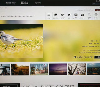 『α cafe 今日の一枚』にα6400の写真が選出されました♪