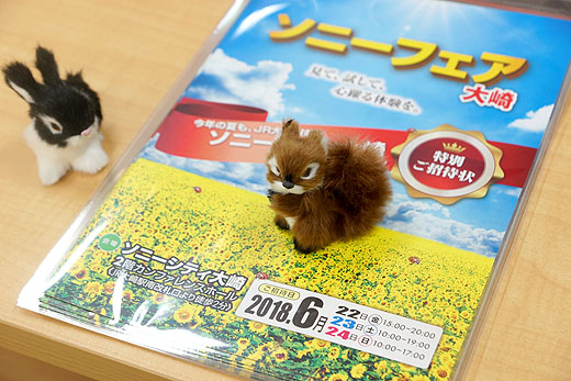 sonyshop_01-3