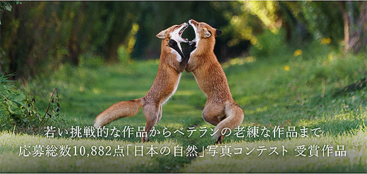 応募総数10,882点「日本の自然」写真コンテスト受賞作品 発表！