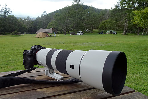 超望遠ズームレンズ『SEL200600G』で撮る野辺山の野鳥