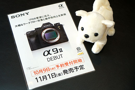デジタル一眼カメラ”α9Ⅱ”がソニーストアにて予約販売開始！　残価設定クレジットなら月額13,700円で購入可能！