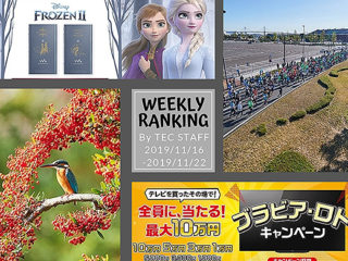 【ランキング】注目度UP！11/16～11/22までの一週間で人気を集めた記事TOP7
