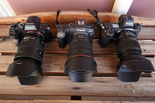 新春特別企画『SONY』『Canon』『Nikon』使い比べレポート - ソニーの 