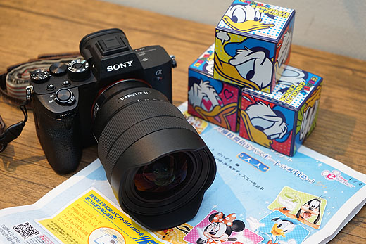 超広角レンズ Sel1224g で撮る東京ディズニーランド ソニーの新商品レビューを随時更新 ソニーストアのお買い物なら正規e Sony Shop テックスタッフへ