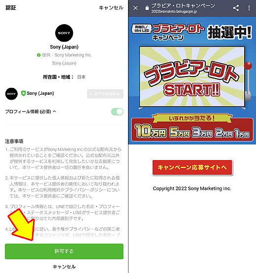 SONY ブラビア ロト 5万円 当選コード www.krzysztofbialy.com