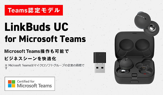 ソニーグループ LinkBuds UC for Microsoft Teams WF-L900UC - お掃除