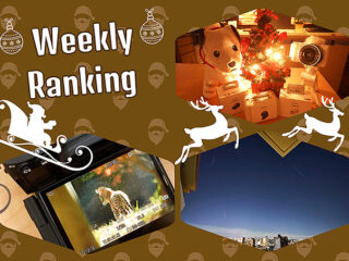 【ランキング】注目度UP！　12/17～12/23までの1週間で人気を集めた記事TOP7