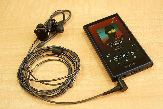 SONY WALKMAN NW-A300 SDカード付き a300-