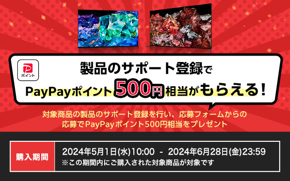 【締切間近】PayPayポイント500円相当がもらえる！『ブラビア製品登録プレゼントキャンペーン』は6月28日まで