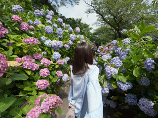 SEL1625G_23