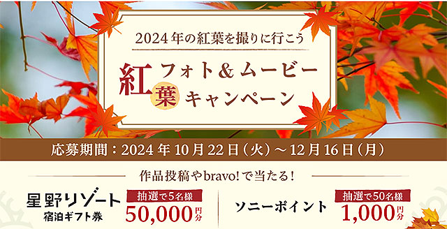 抽選で5名に星野リゾート宿泊ギフト券5万円分プレゼント ！「α cafe」にて紅葉フォト＆ムービーキャンペーン実施中！　紅葉を美しく撮るコツ