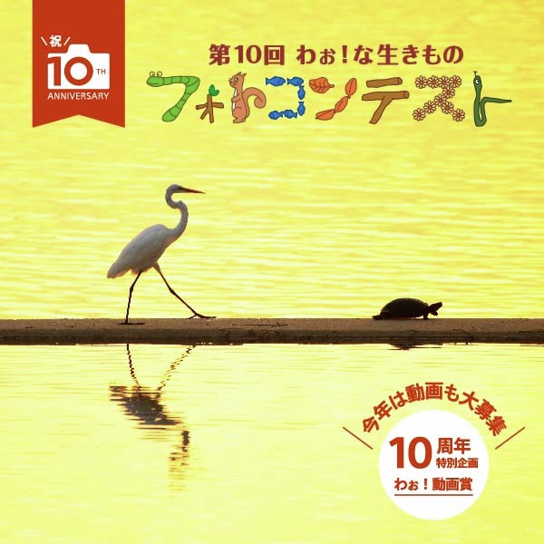 「第10回 わぉ！な生きものフォトコンテスト」開催！　10周年特別企画として「動画賞」も新設　『RX10 IV』や『VLOGCAM』といった豪華賞品も