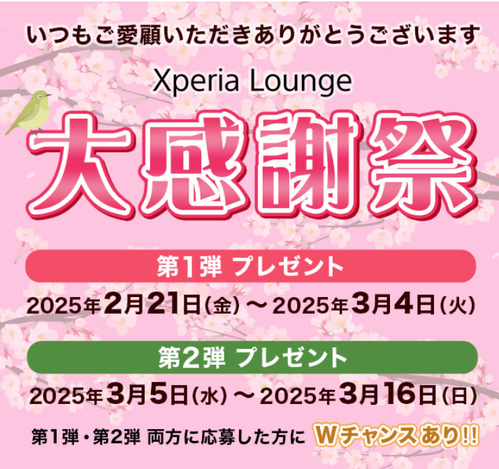 スクリーンショット 2025-03-05 103443