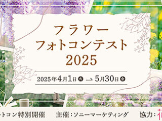 スクリーンショット-2025-04-08-120700
