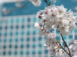 xperia_13