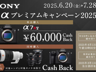 CCBCP01