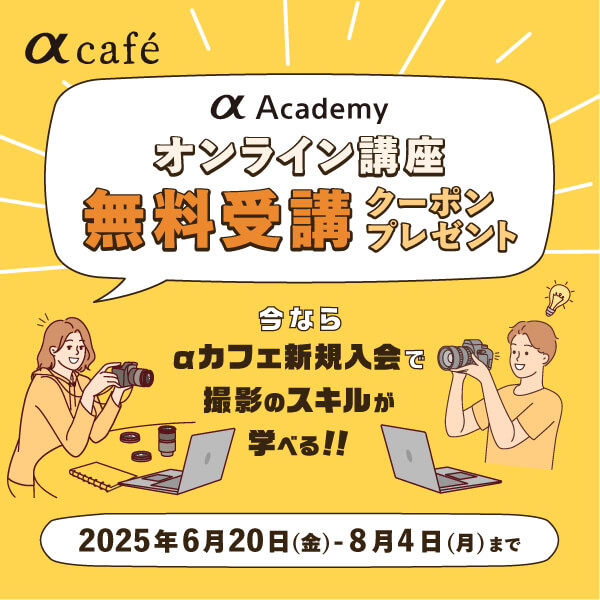 68535cf3f17e024ae286ff10__2025new_member_600_600