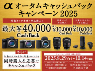 mainvisual_sp (1)