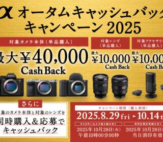 mainvisual_sp (1)
