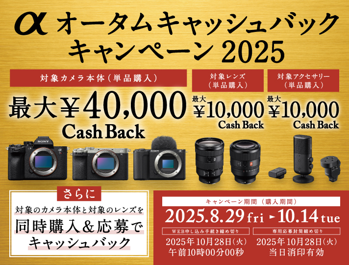 mainvisual_sp (1)