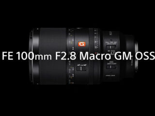 SEL100M14GM_01