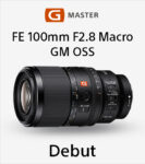 SEL100M28GM_233x262
