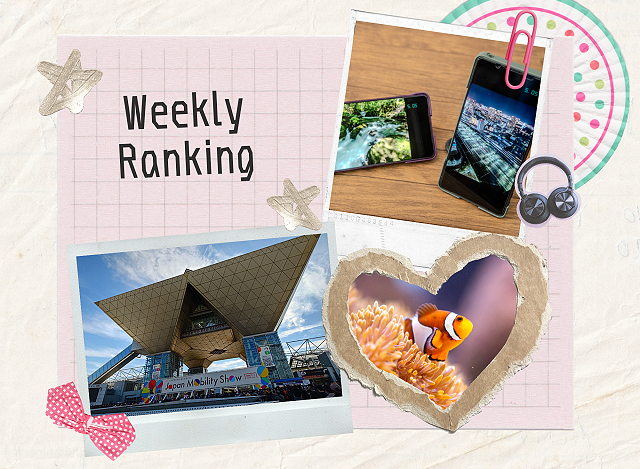 【ランキング】注目度UP！　11/1～11/7までの1週間で人気を集めた記事TOP7