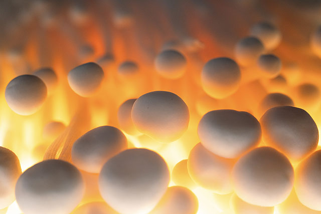 やっぱり来た！「SEL100M28GM」品薄パターン突入。納期情報と驚きの作例紹介