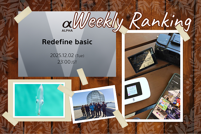 【ランキング】注目度UP！　11/22～11/28までの1週間で人気を集めた記事TOP7