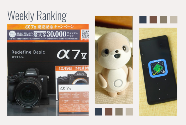 【ランキング】注目度UP！　12/13～12/19までの1週間で人気を集めた記事TOP7