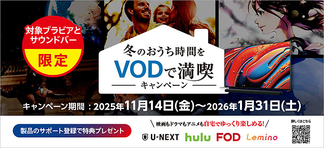 BRAVIAユーザーに朗報！ WEB非公開のVOD無料キャンペーンがチラシで判明　『冬のおうち時間をVODで満喫キャンペーン 』開催中