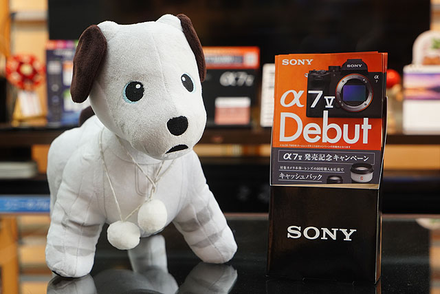 sonyshop_07
