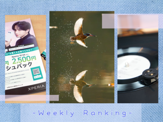 スクリーンショット 2026-02-06 113446