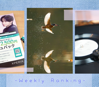 スクリーンショット 2026-02-06 113446