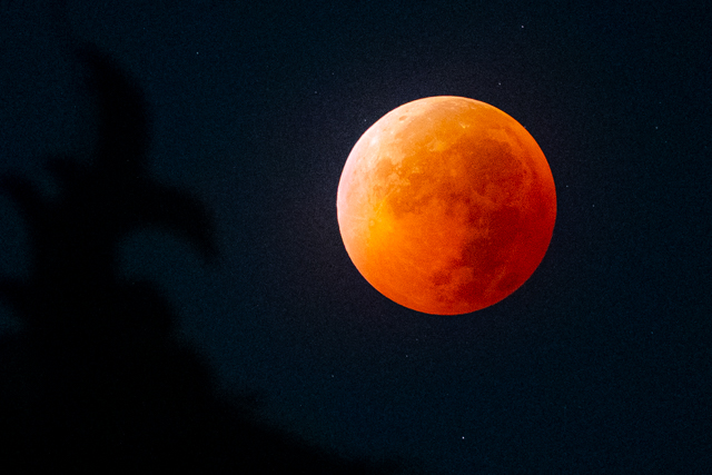 3月3日は皆既月食！東京で狙う赤い月の撮影ポイント解説