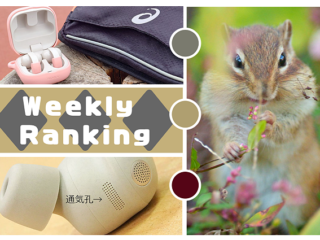 スクリーンショット 2026-02-20 131213