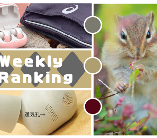 スクリーンショット 2026-02-20 131213