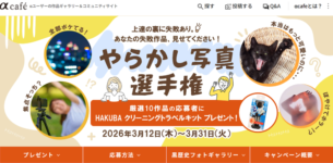 スクリーンショット 2026-03-13 144008