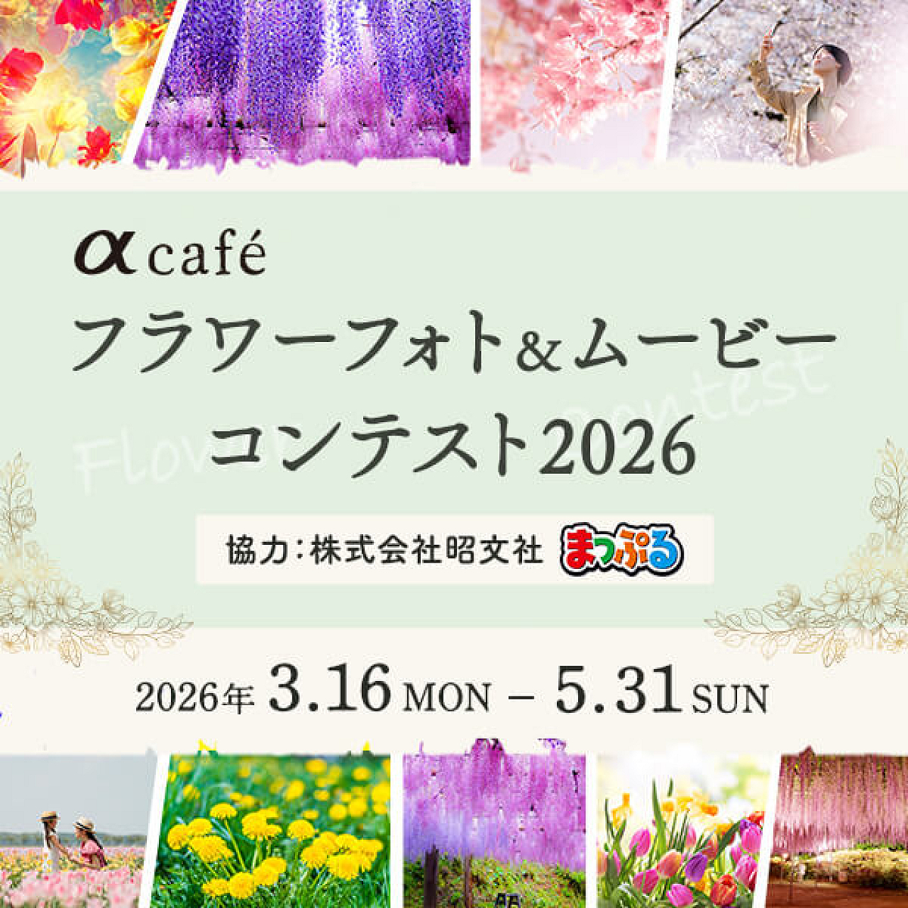 花フォトコンテスト