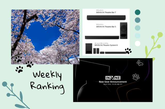 【今週の人気記事】α7 V・BRAVIA・WF-1000XM6 今チェックすべきTOP7