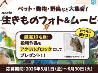 αcafeで生きものフォト＆ムービー投稿キャンペーン開催　これはもう裏ワザ？！「プリ撮影」で瞬間を遡る！