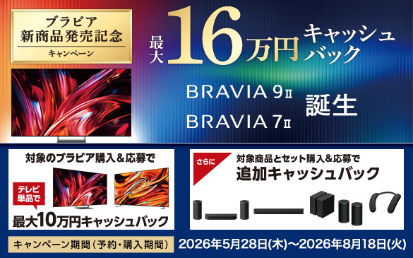 bravia_260528_2