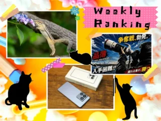 ソニーショップテックスタッフ週間人気記事ランキングTOP7を紹介するまとめ記事