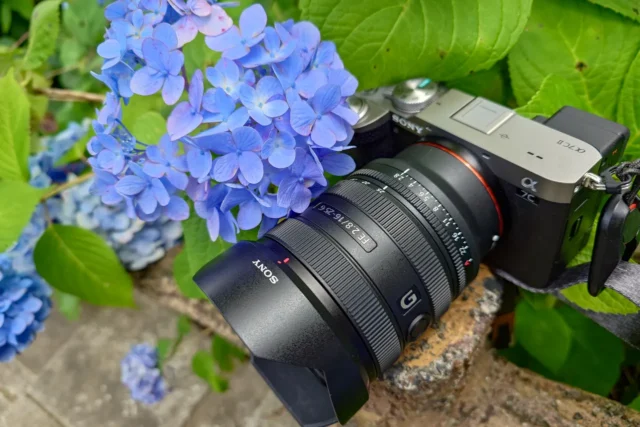 雨の日のあじさいをソニーαで撮影した初夏の作例写真