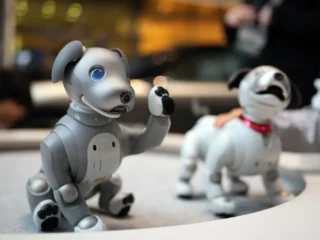aibo_02