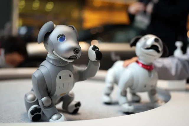 aibo ERS-1000国内販売終了とプレミアムプラン7周年特典を紹介するイメージ