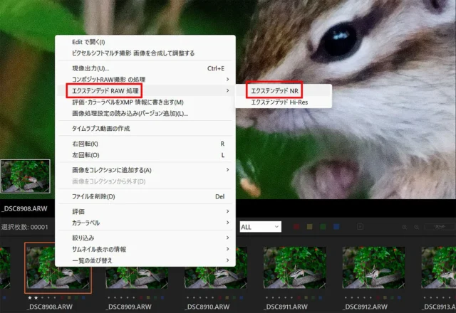 エクステンデッド RAW処理画面