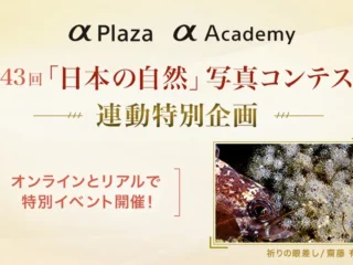 585_365_2607_academy_special_event_result