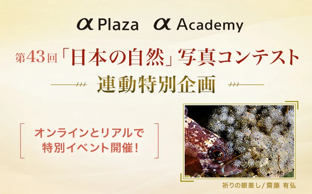 カメラ アーカイブ - ソニーの新商品レビューを随時更新！ ソニー